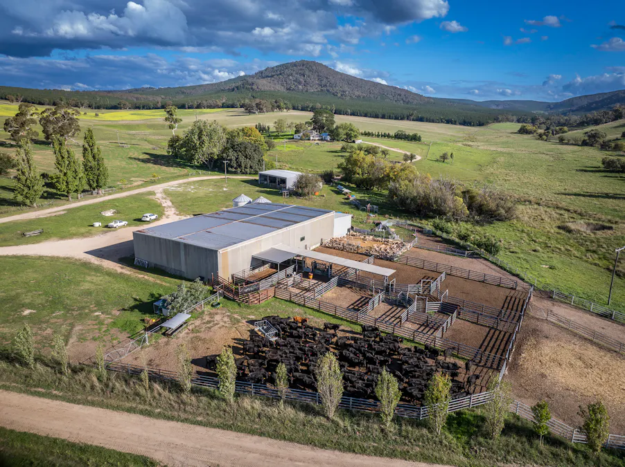 Address upon request - Image 17