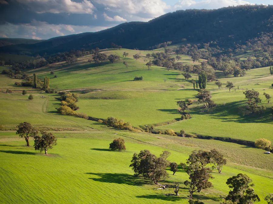 Address upon request - Image 22