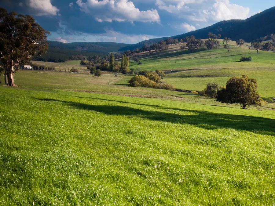 Address upon request - Image 23