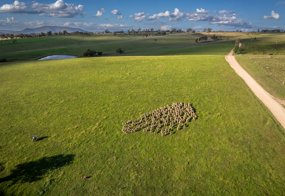 Address upon request - Image 8