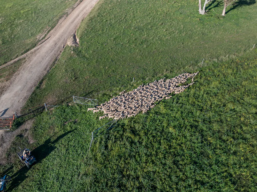 Address upon request - Image 9