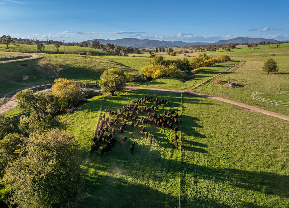 Address upon request - Image 26