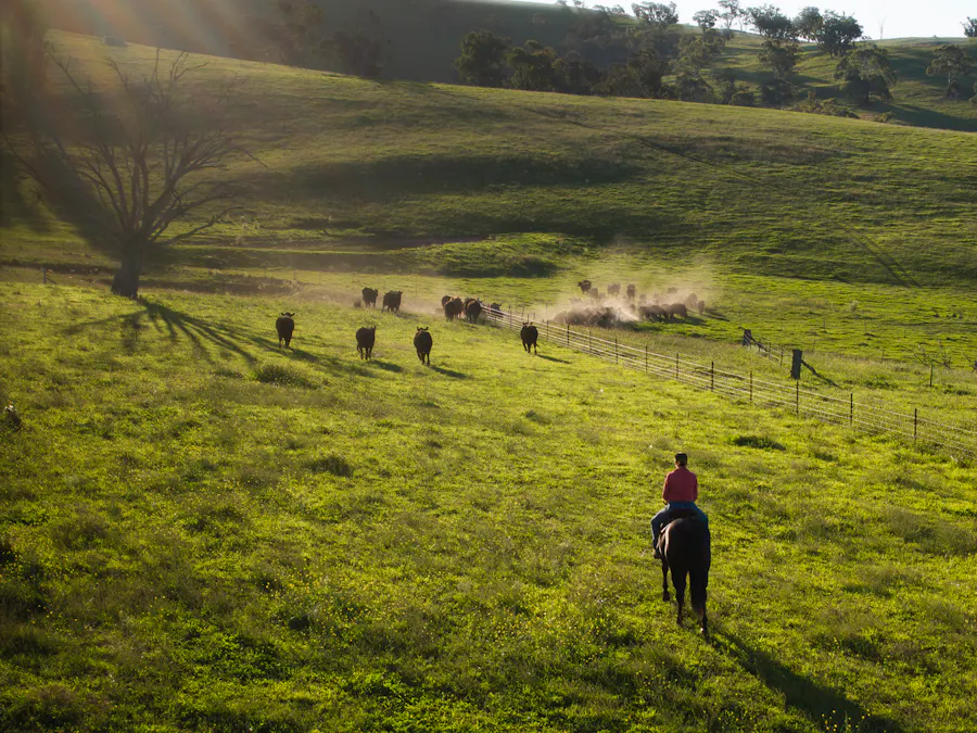 Address upon request - Image 20