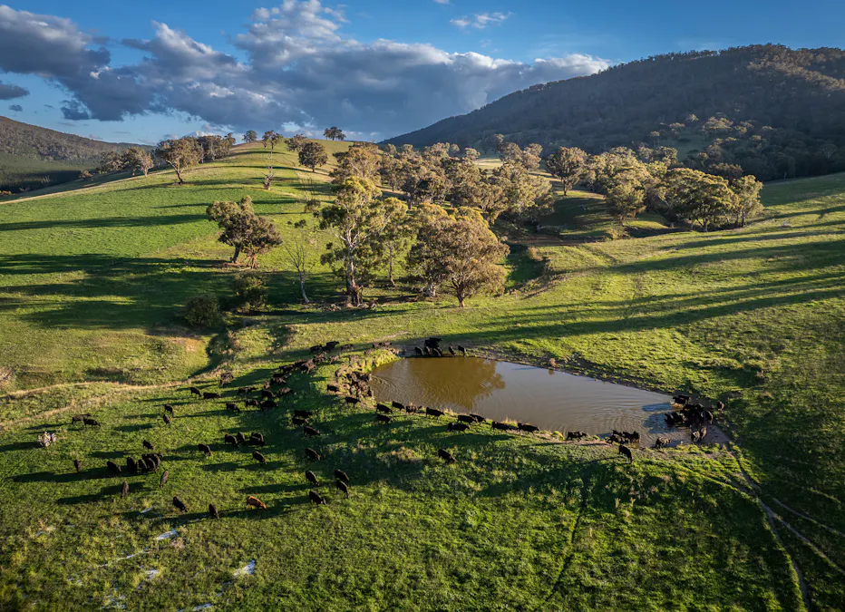 Address upon request - Image 27