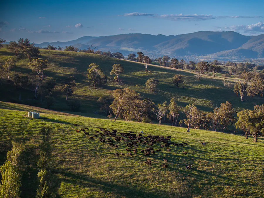 Address upon request - Image 30