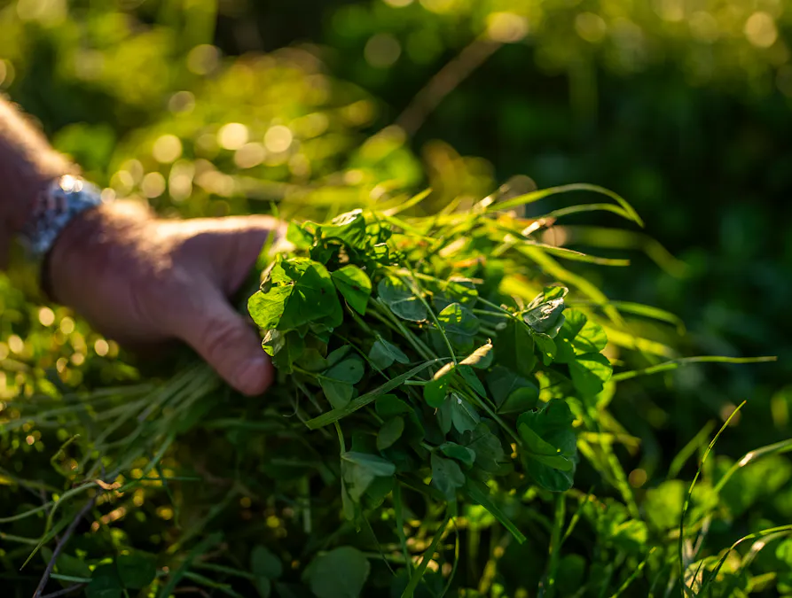 Address upon request - Image 10