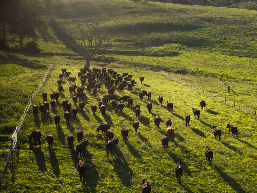 Address upon request - Image 2