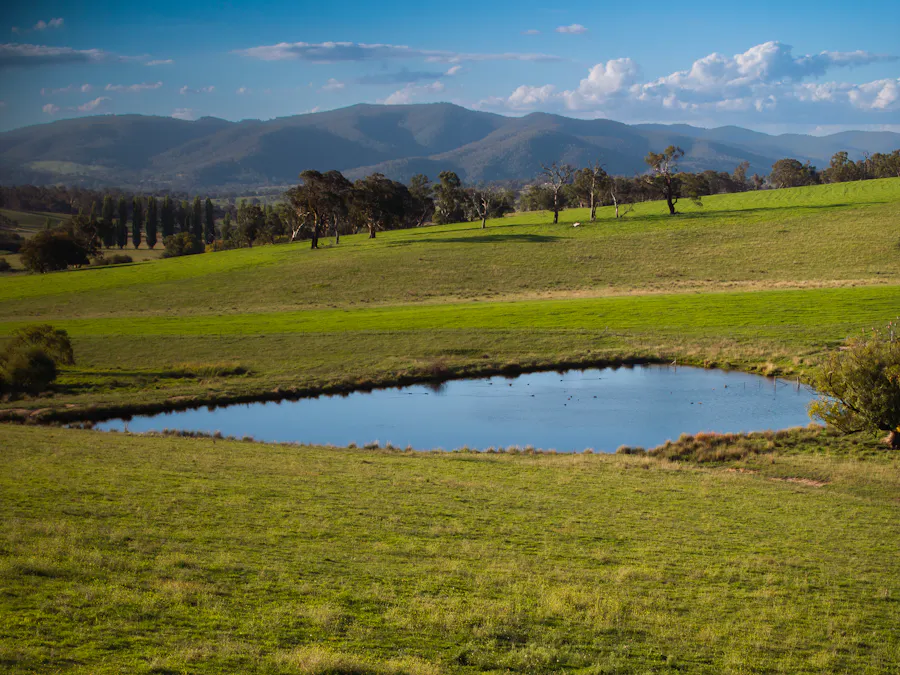 Address upon request - Image 4