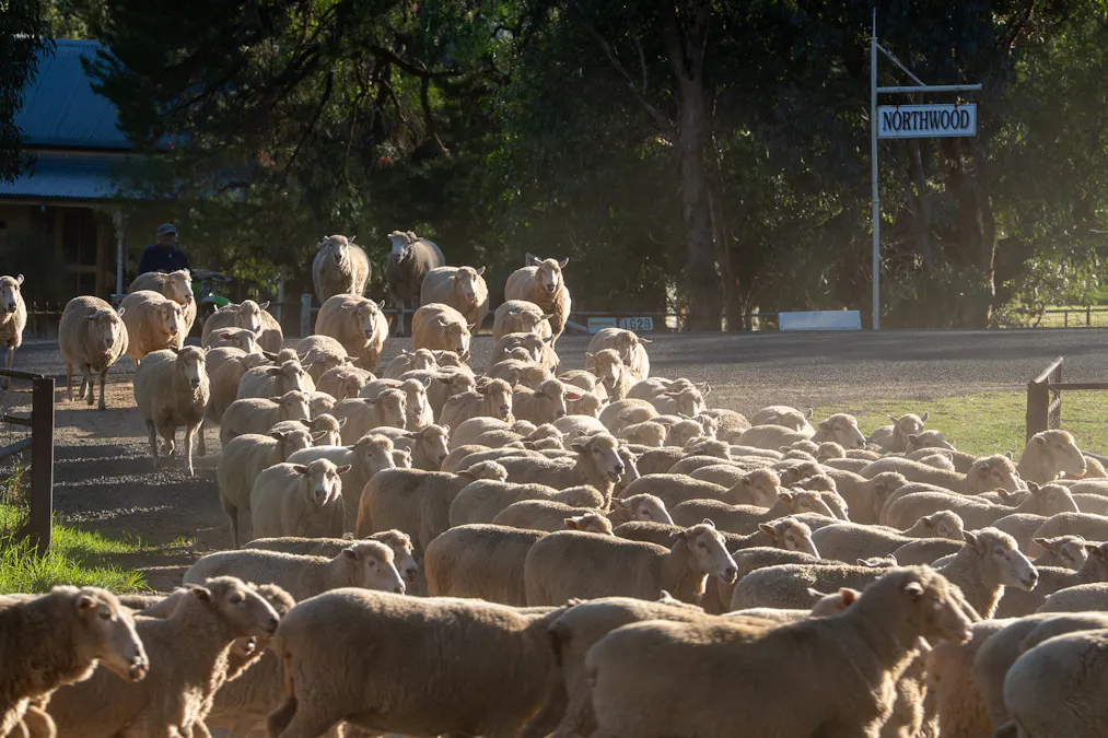 1629 Darby Falls Road, Cowra, NSW, 2794 - Image 2