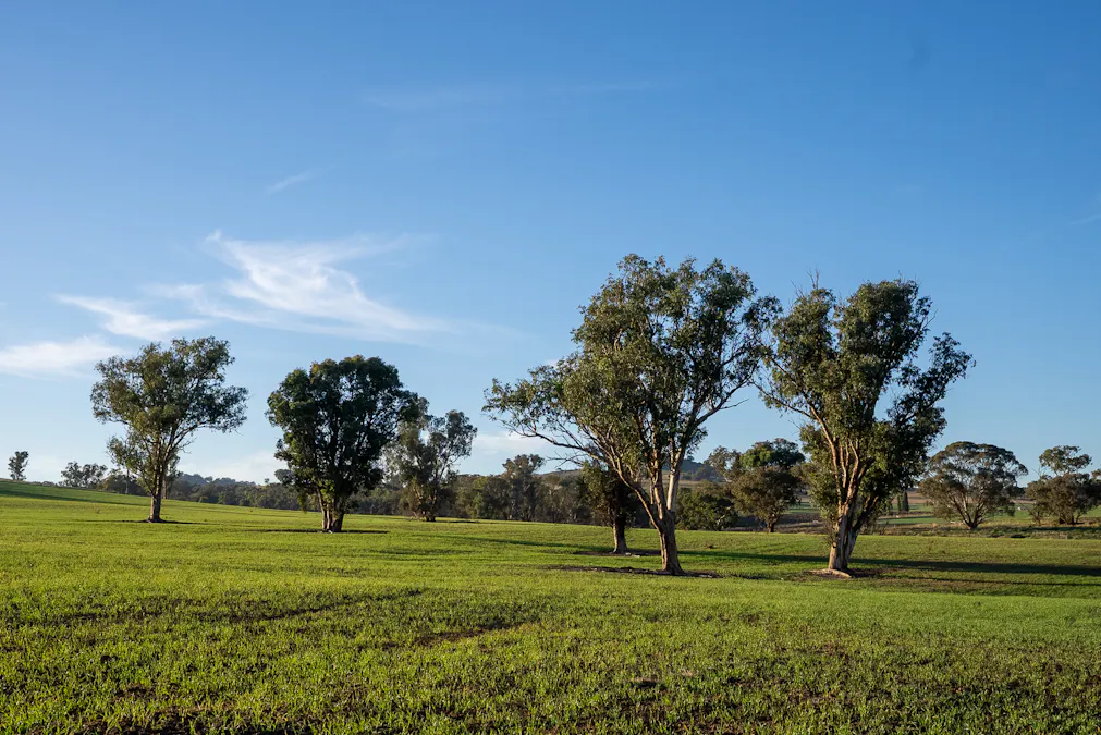 1629 Darby Falls Road, Cowra, NSW, 2794 - Image 4