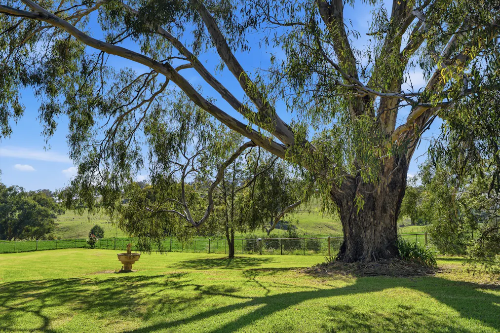 1629 Darby Falls Road, Cowra, NSW, 2794 - Image 5