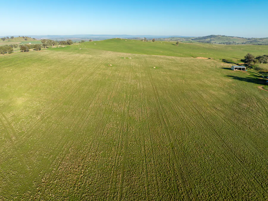 1629 Darby Falls Road, Cowra, NSW, 2794 - Image 9