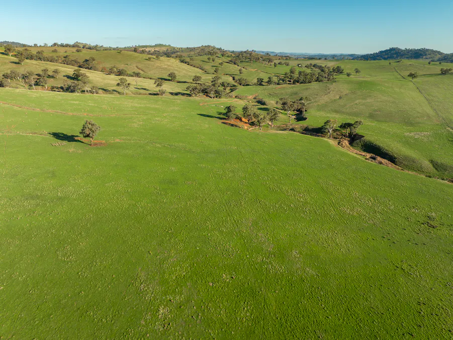 1629 Darby Falls Road, Cowra, NSW, 2794 - Image 10