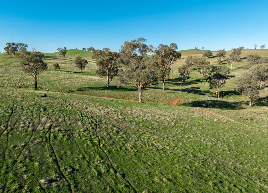1629 Darby Falls Road, Cowra, NSW, 2794 - Image 12