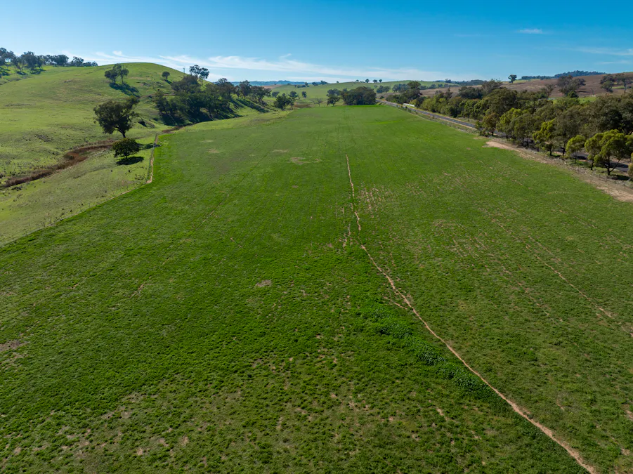 1629 Darby Falls Road, Cowra, NSW, 2794 - Image 13