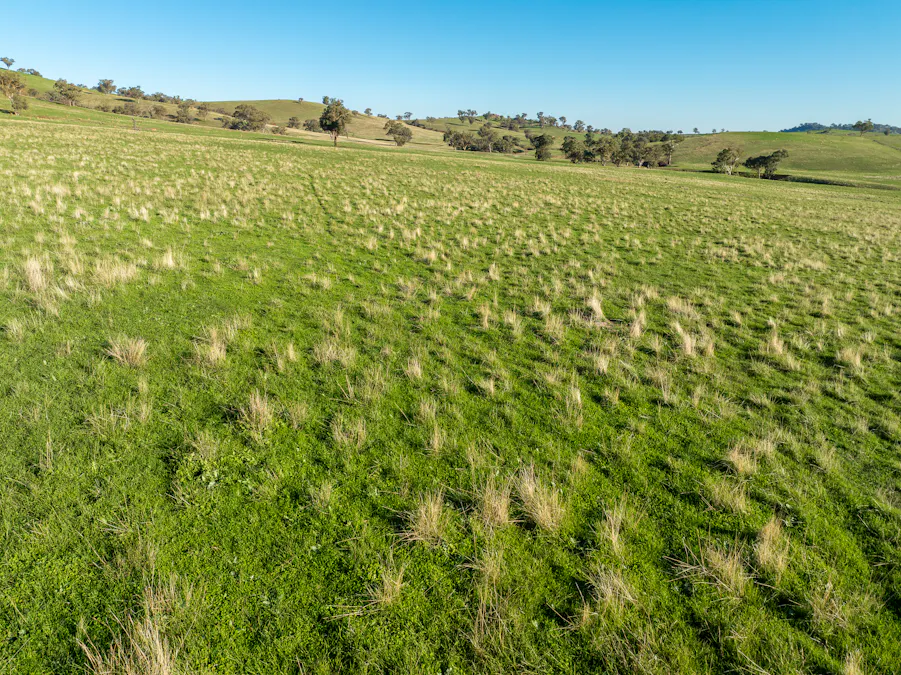 1629 Darby Falls Road, Cowra, NSW, 2794 - Image 14