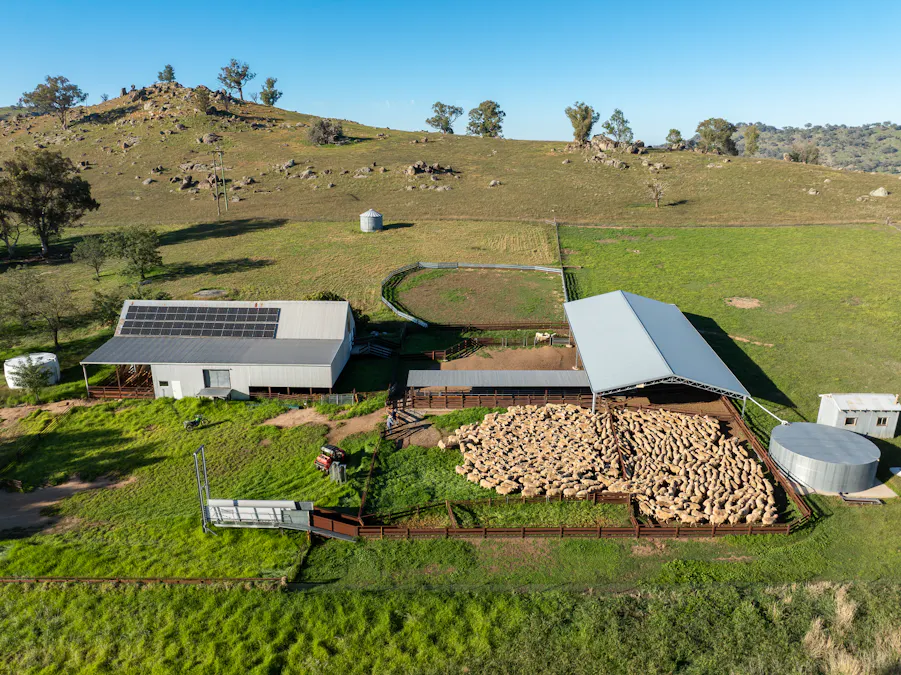 1629 Darby Falls Road, Cowra, NSW, 2794 - Image 17