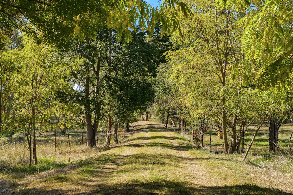 Lot 179 Hilltop Road, Woodstock, NSW, 2793 - Image 16
