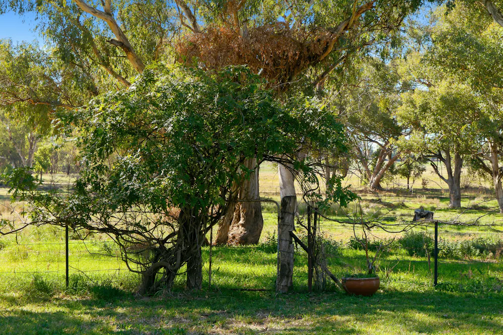Lot 179 Hilltop Road, Woodstock, NSW, 2793 - Image 17