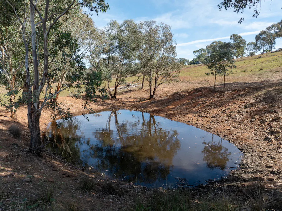 167 Cultowa Lane (Billimari), Canowindra, NSW, 2804 - Image 8