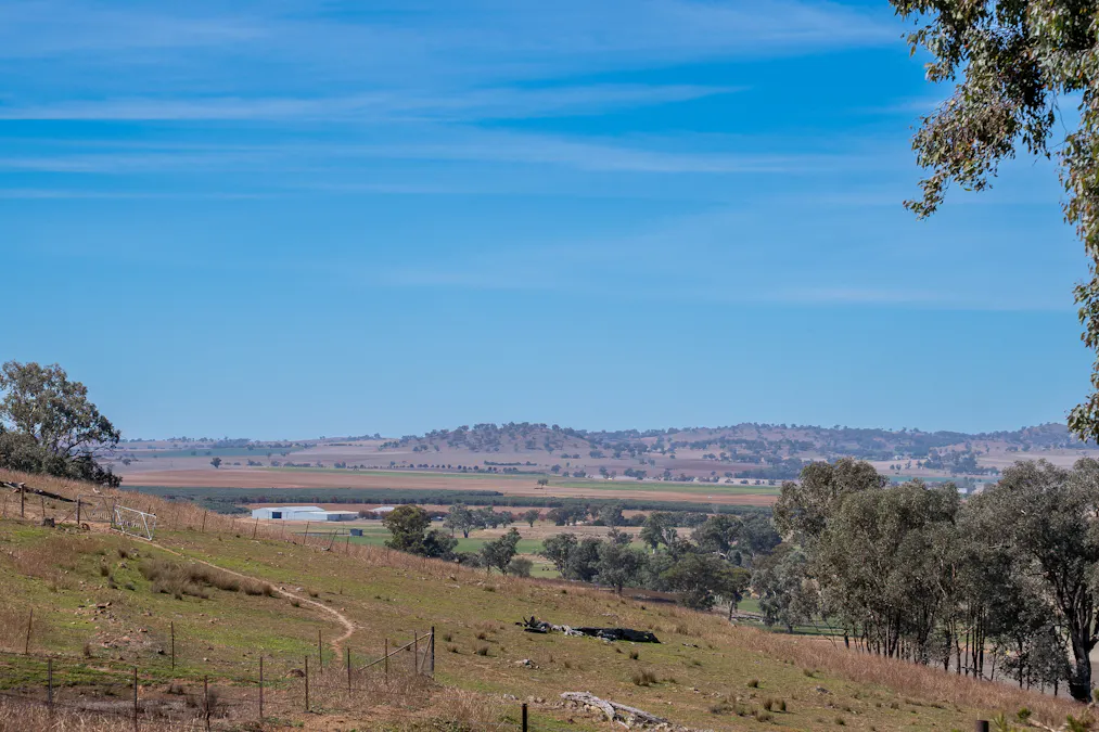 167 Cultowa Lane (Billimari), Canowindra, NSW, 2804 - Image 9