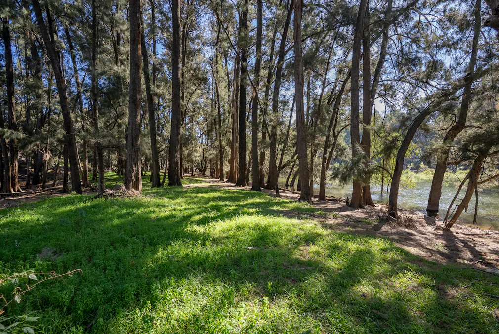 16 Flannery Road, Wyangala, NSW, 2808 - Image 6
