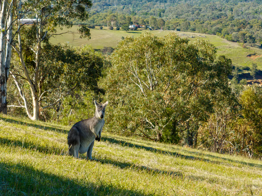 112 Lachlan Waters Road, Wyangala, NSW, 2808 - Image 2