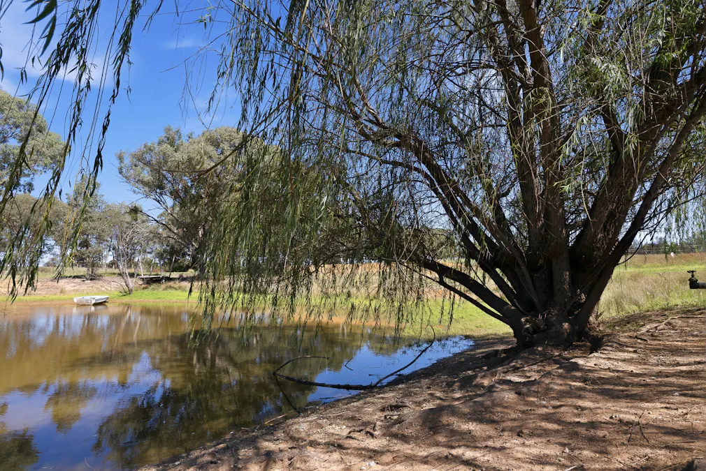 22 Anderson Lane, Cowra, NSW, 2794 - Image 33