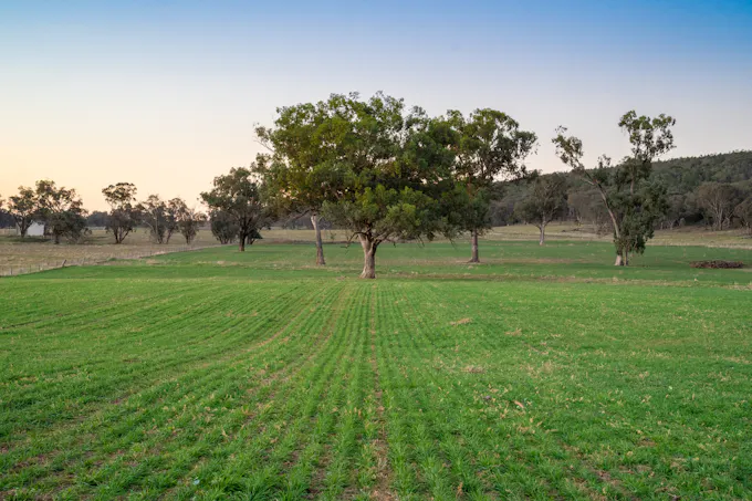 'Tullatoola' 798 Packham Drive, Molong, NSW, 2866 - Image 1