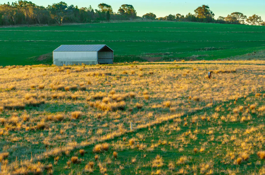 'Tullatoola' 798 Packham Drive, Molong, NSW, 2866 - Image 3