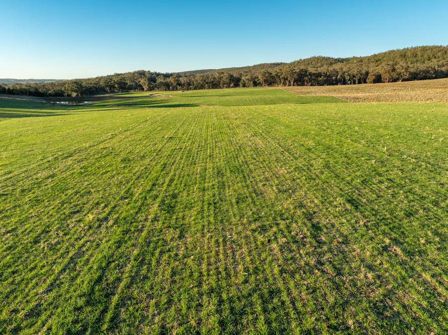 'Tullatoola' 798 Packham Drive, Molong, NSW, 2866 - Image 4
