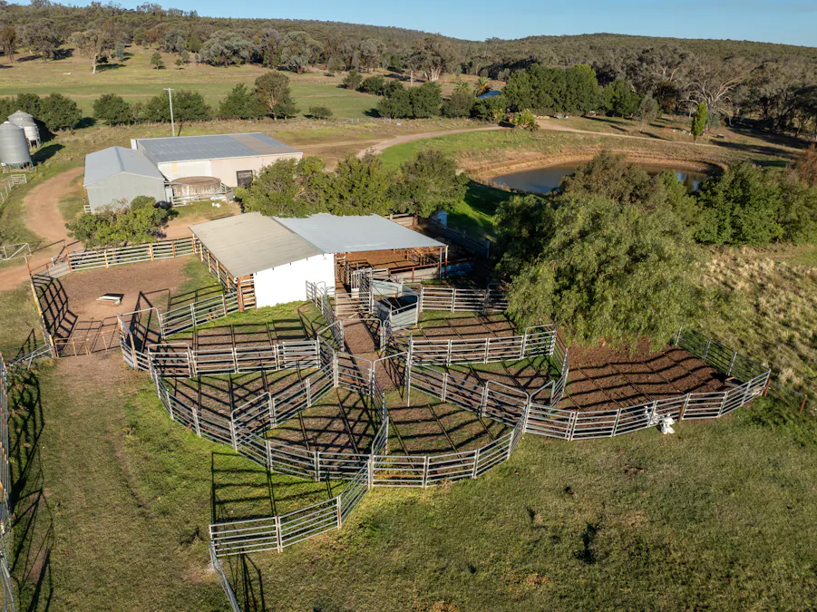 'Tullatoola' 798 Packham Drive, Molong, NSW, 2866 - Image 6