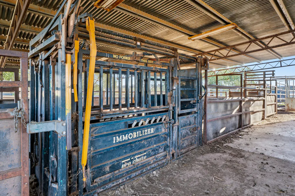 'Tullatoola' 798 Packham Drive, Molong, NSW, 2866 - Image 8
