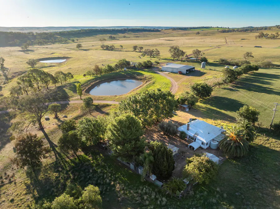 'Tullatoola' 798 Packham Drive, Molong, NSW, 2866 - Image 12