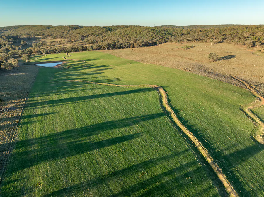 'Tullatoola' 798 Packham Drive, Molong, NSW, 2866 - Image 14