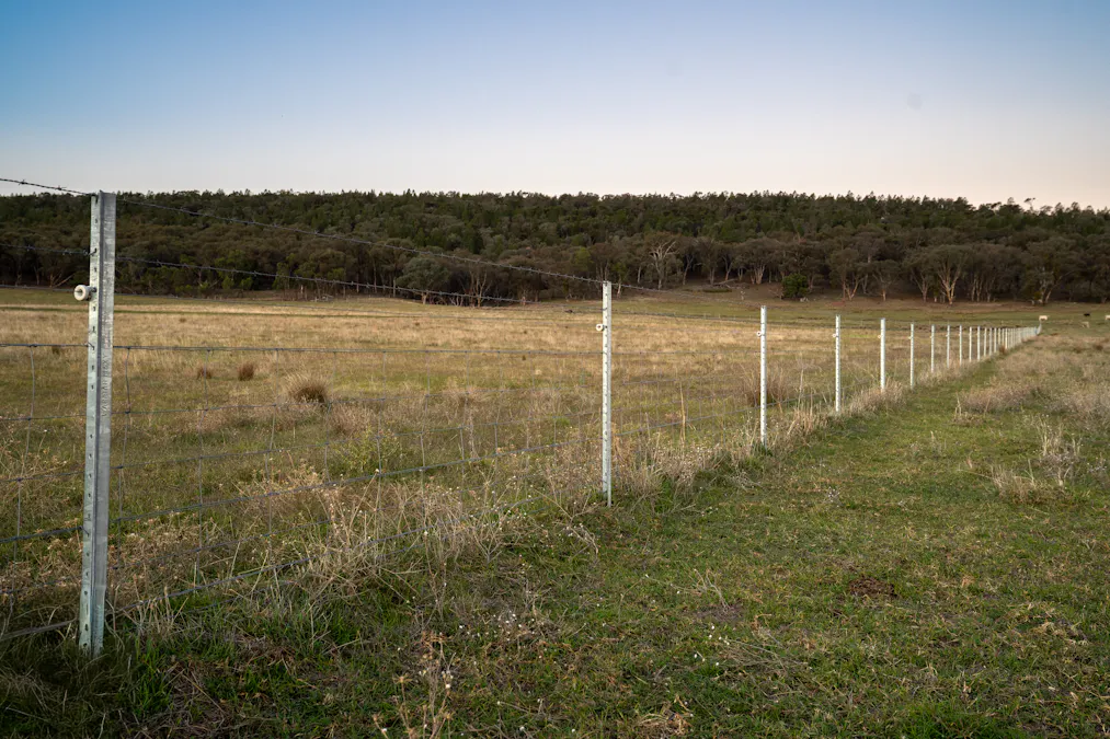 'Tullatoola' 798 Packham Drive, Molong, NSW, 2866 - Image 18