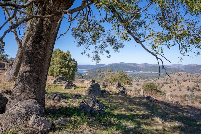 2656 Reg Hailstone Way, Wyangala, NSW, 2808 - Image 1