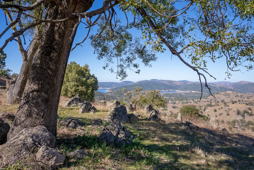 2656 Reg Hailstone Way, Woodstock, NSW, 2793 - Image 2