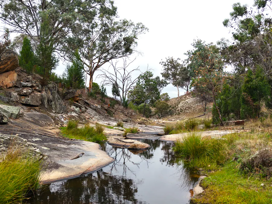 2656 Reg Hailstone Way, Woodstock, NSW, 2793 - Image 4