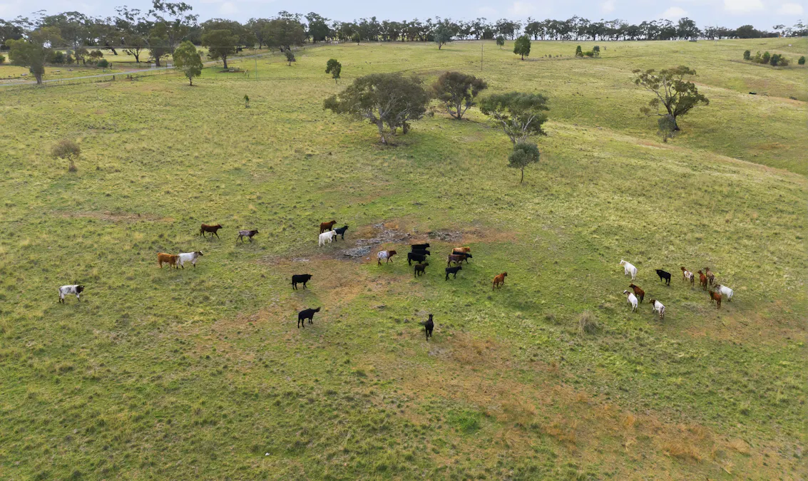 2653 Cargo Road, Cargo, NSW, 2800 - Image 13