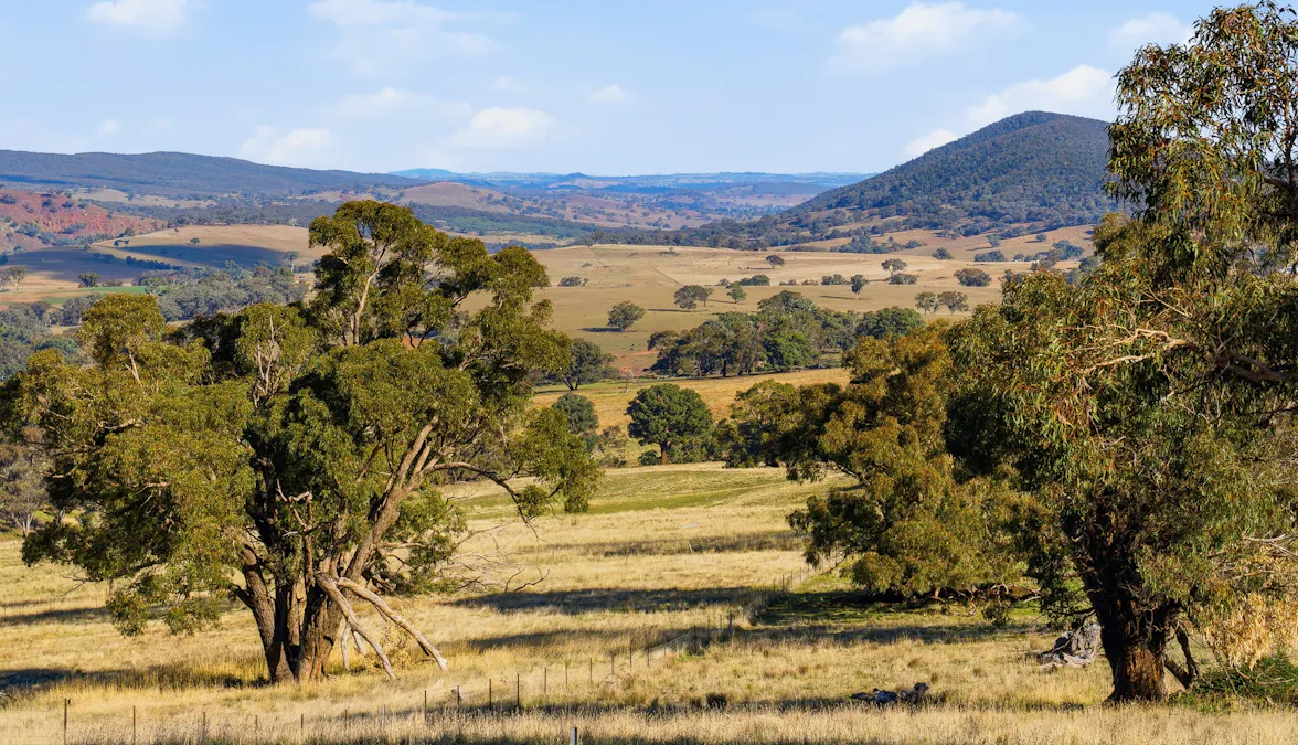 2653 Cargo Road, Cargo, NSW, 2800 - Image 16