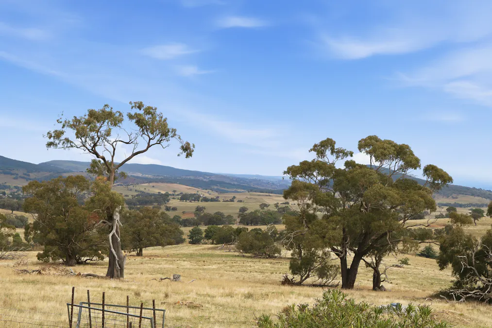 2653 Cargo Road, Cargo, NSW, 2800 - Image 27