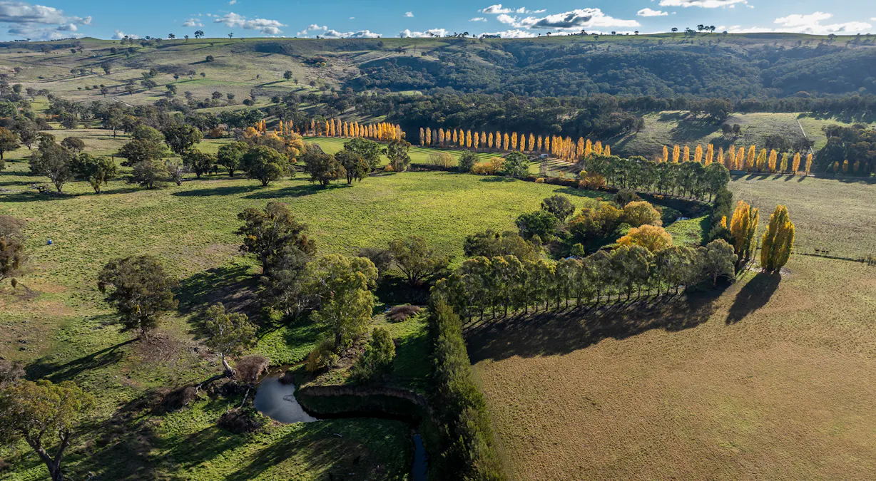 'The Grove' 635 Grove Creek Road, Trunkey Creek, NSW, 2795 - Image 1