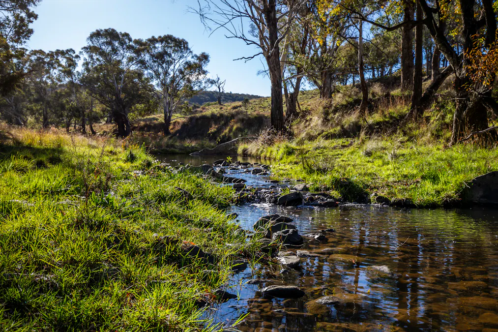 'The Grove' 635 Grove Creek Road, Trunkey Creek, NSW, 2795 - Image 3
