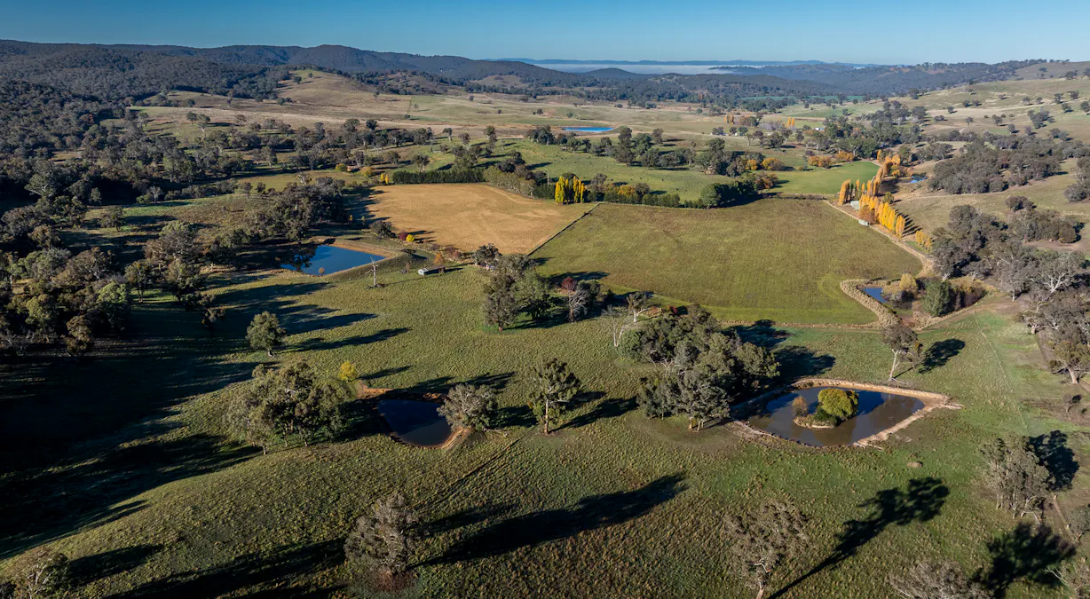 'The Grove' 635 Grove Creek Road, Trunkey Creek, NSW, 2795 - Image 4
