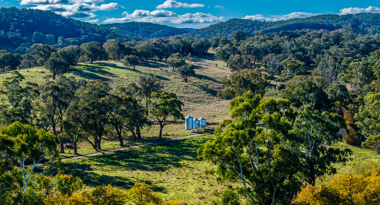 'The Grove' 635 Grove Creek Road, Trunkey Creek, NSW, 2795 - Image 7