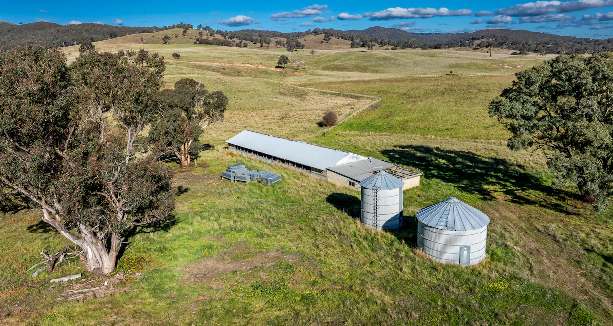 'The Grove' 635 Grove Creek Road, Trunkey Creek, NSW, 2795 - Image 13