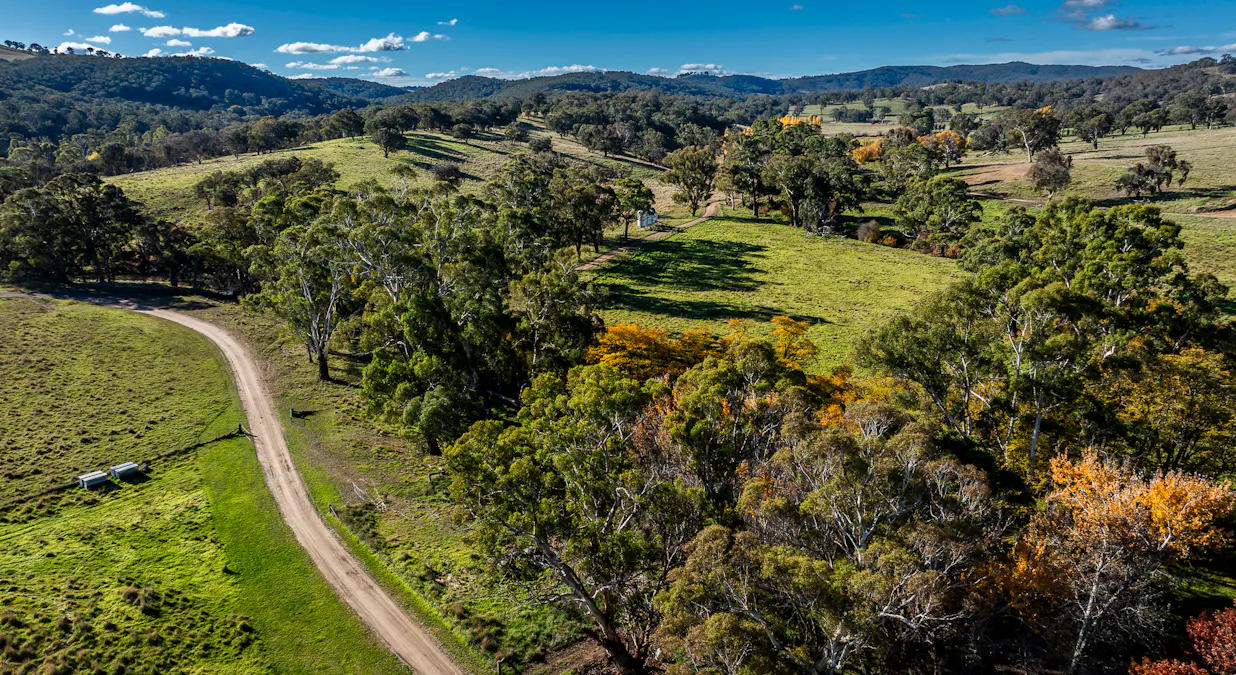 'The Grove' 635 Grove Creek Road, Trunkey Creek, NSW, 2795 - Image 20