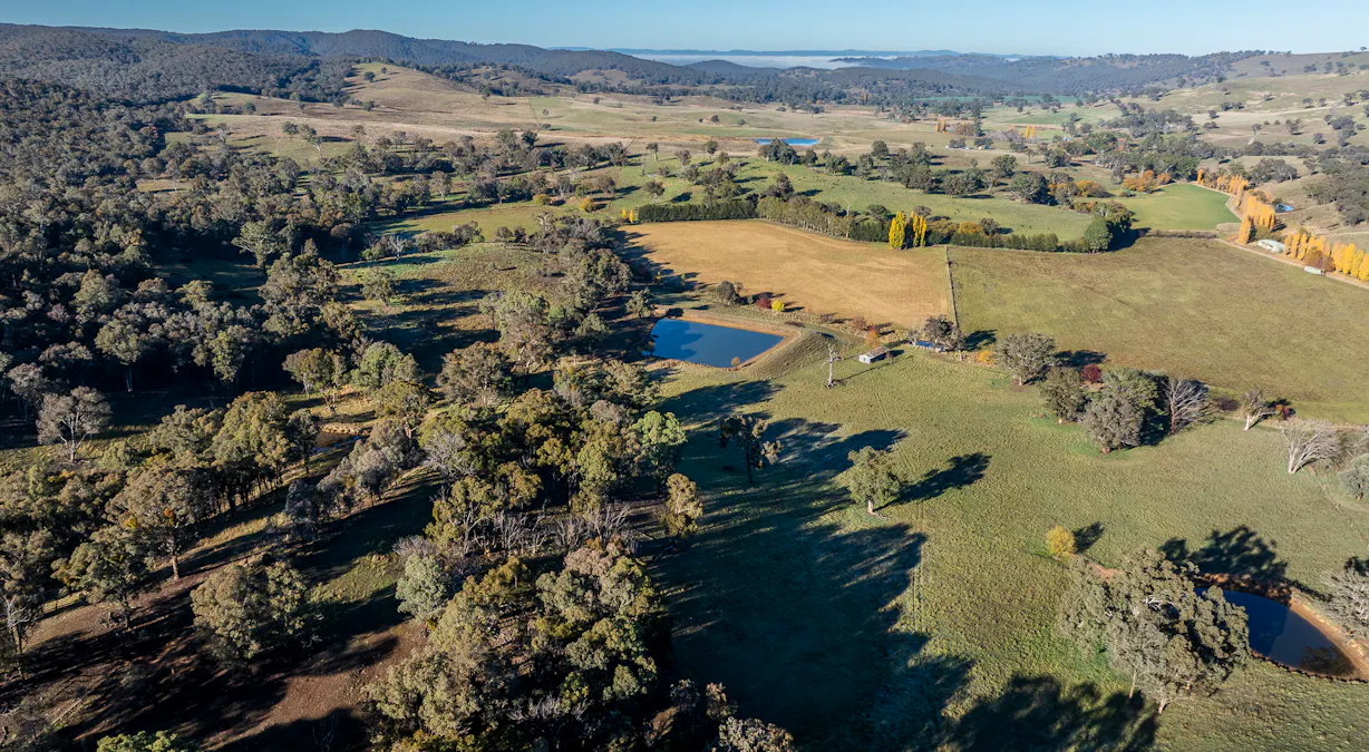 'The Grove' 635 Grove Creek Road, Trunkey Creek, NSW, 2795 - Image 21
