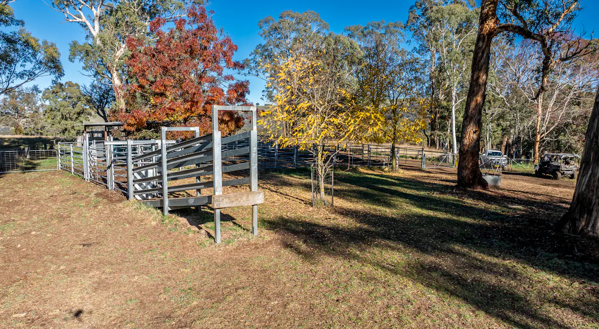 'The Grove' 635 Grove Creek Road, Trunkey Creek, NSW, 2795 - Image 9